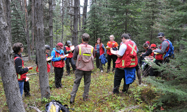 Students are in a forest for an outdoor classroom as part of a mining education experience.