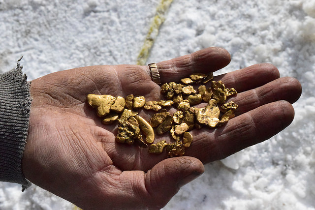 A handful of gold nuggets mined at Nip & Tuck