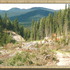 Windsor Gold Mining and Exploration Inc.  property is located in the central interior of British Columbia near Barkerville.