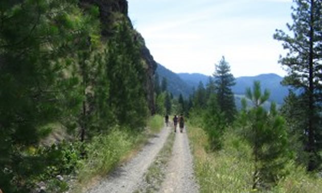 Photo of the Trans Canada Trail.