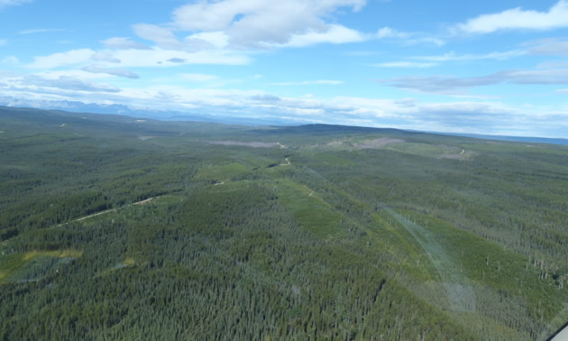 Aerial view of Coalspur