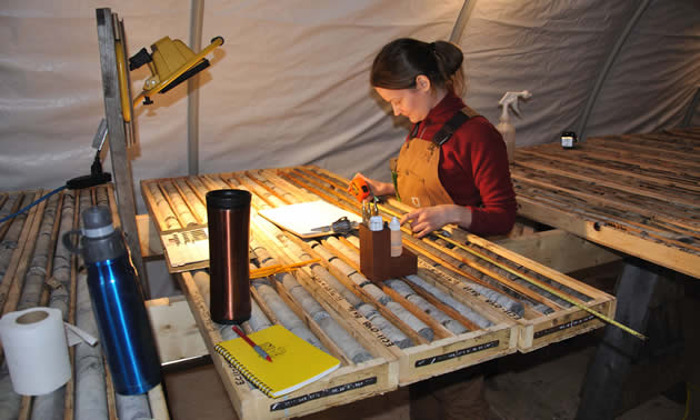 A person studying core samples