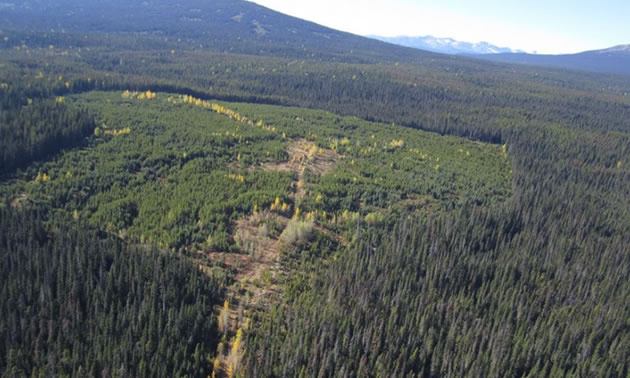 An aerial view of the Silver Vista property near Smithers, B.C. 