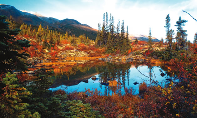 A landscape featuring a small body of water surrounded by fall-coloured vegetation with mountains in background.