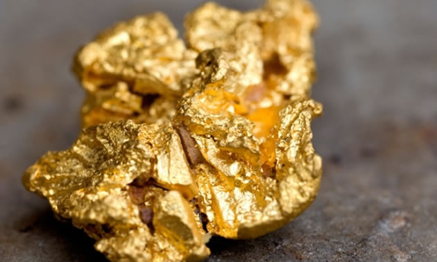 A sample of gold from the Dufferin Mine in Nova Scotia, Canada. 