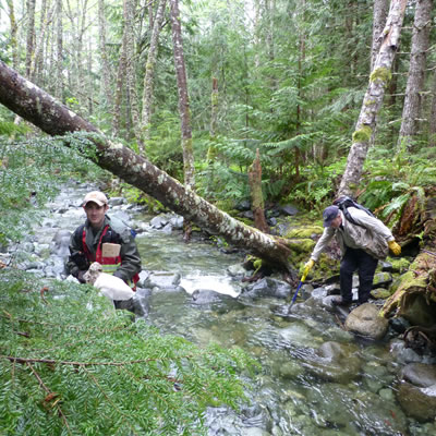Two researchers are in a forest near a stream. 