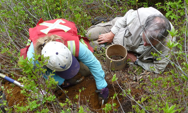 Heberlein and Dunn's team are collecting samples of soil and twigs. 
