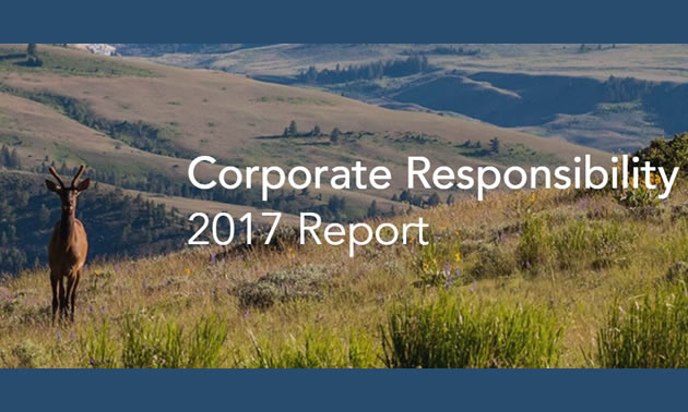 Cover of Kinross Gold Corporation's 2017 Corporate Responsibility Report. 