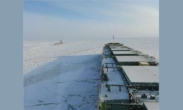 Photo NSR Nordic bulk carrier