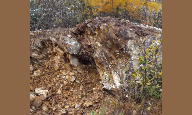 An outcropping skarn, running approximately 1.5 kilometres through the centre of the Duvay Project, near Amos, Quebec.