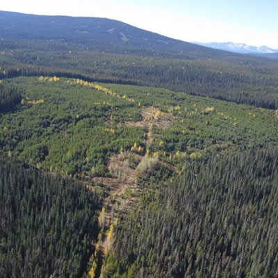 The Silver Vista property comprises approximately 246 square kilometers (24,639 ha) in British Columbia. 