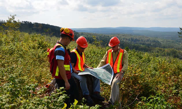 The Sisson Project is located about 100 kilometres from Fredericton, New Brunswick. Pictured are three workers are looking at a map on a brushy hillside.