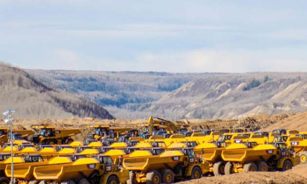 Picture of group of large yellow trucks