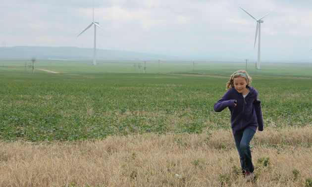 Paula's children were raised learning about renewables. Not only does Paula guide companies through renewable projects, but she has contributed to renewable education plans in Alberta's schools.