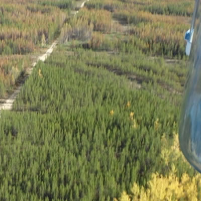 The 97-kilometre Tlicho Road connects the community of Whatì to the territorial highway system in the Northwest Territories. 