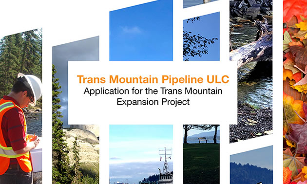 The National Energy Board (NEB) Reconsideration report on the Trans Mountain Expansion Project.  