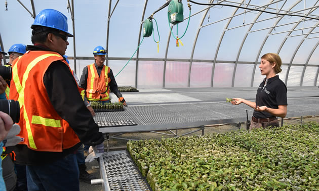 Jessica Dyczko, a reclamation coordinator at Victor Mine, answers questions about the mine’s on-site greenhouse. 