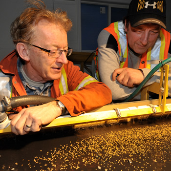 two men looking at small pieces of gold