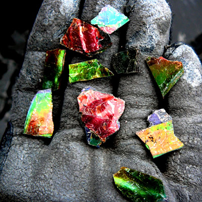 Ammolite is rainbow-coloured even in its raw form.