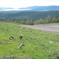 An inspector of mines and reclamation for the province of British Columbia, Jennifer McConnachie, inspects a waste rock dump that has undergone progressive reclamation at a mine site in the BC interior.
