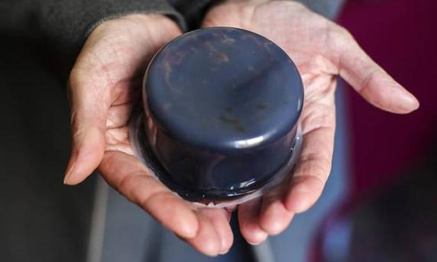 This Globe and Mail photo by Michelle Sui shows what a CanaPux of bitumen would look like.