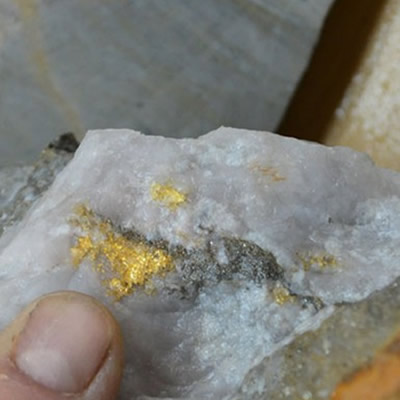 Close-up picture of someone holding a gold-bearing rock. 