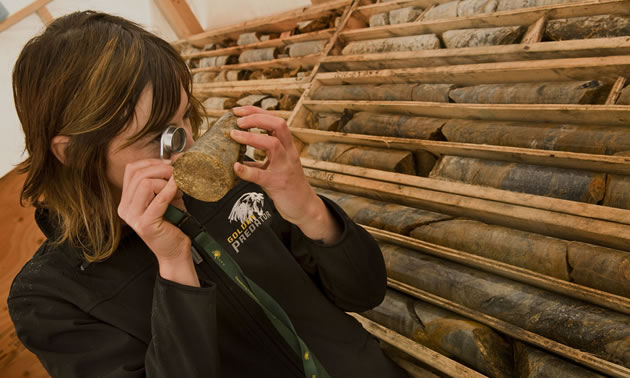 A Golden Predator employee checks out core samples from one of the company's mining projects.