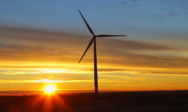 Ikea has purchased another wind farm near Drumheller, Alberta, to offset their energy consumption across all of Canada's stores.