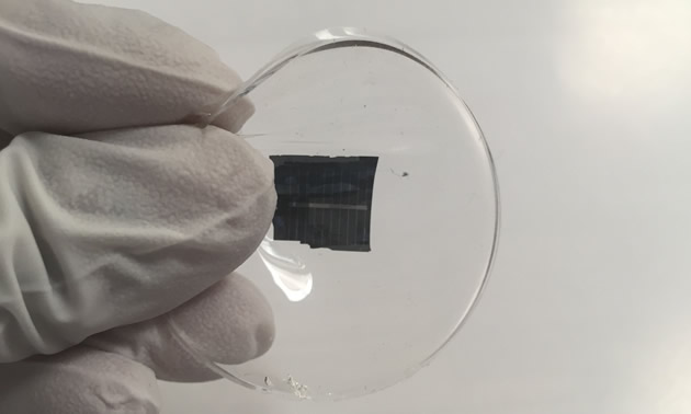 Picture of gloved hand, displaying a piece of glass with a wafer-thin piece of silicon on it. 