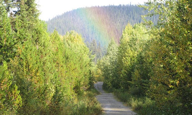 Rainbow at end of dirt road. 