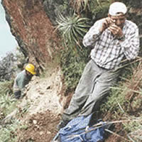 two men working in Peru