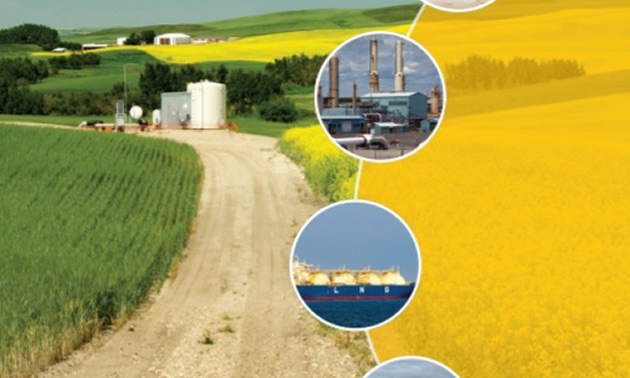 Cover of report - Roadmap to Recovery: Reviving Alberta's Natural Gas Industry. 