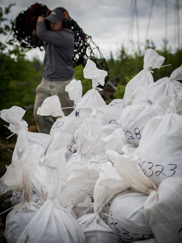 A pile of white sample bags in the forground, the backround is a little blurred and shows a man carrying a bag on his shoulder towards the pile. 