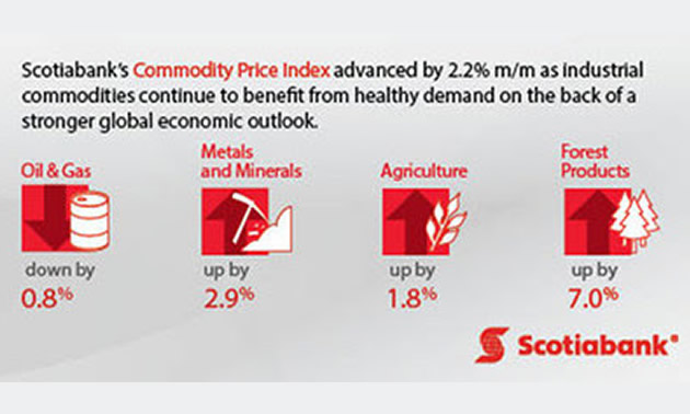 Scotiabank's Commodity Price Index graphic. 