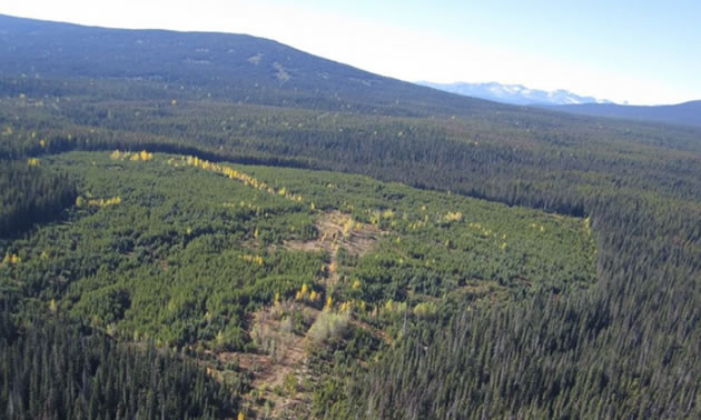 An aerial view of the Silver Vista project in northern British Columbia. 