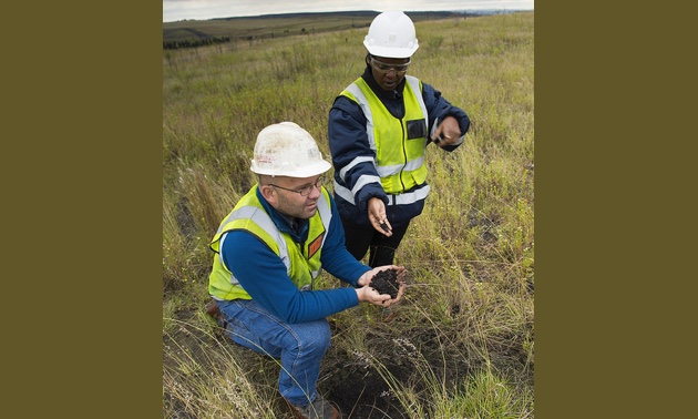 Anglo American Thermal Coal - Environmental - Kleinkopjie Colliery . Gustav Le Roux, rehab planner, and Dolly Mthethwa, environmental co-ordinator, inspect the results of the Fungcoal trials on the Klipan discard dump where a bacteria has been introduced to reduce the rough discard into viable organic material in which plants will grow. 